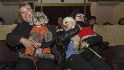 Primera función de cine pet friendly en Argentina