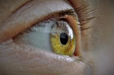 Crean un tejido ocular en bioimpresión 3D para estudiar enfermedades de la vista