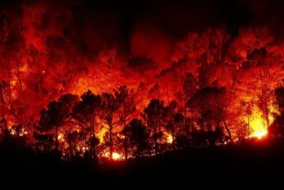 Incendios en Tierra del Fuego: más de 6.500 hectáreas afectadas