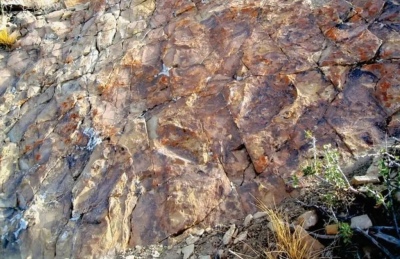 Se descubren patinadas de dinosaurios en Neuquén