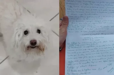 Una perrita fue abandonada junto a una carta