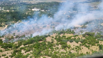 Incendio forestal en Villa Gesell