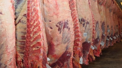 China compró casi el 80% de la carne vacuna que exportó Argentina en el 2023