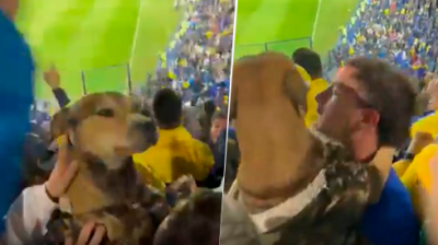 El insólito video del perro que se coló en la popular de Boca