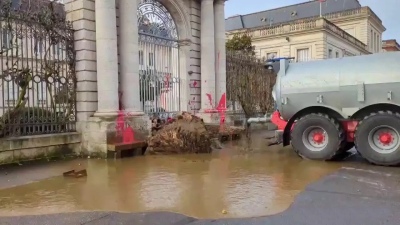 Video: Trabajadores del sector agrícola tiran estiércol y otros desechos a un edificio administrativo en Francia