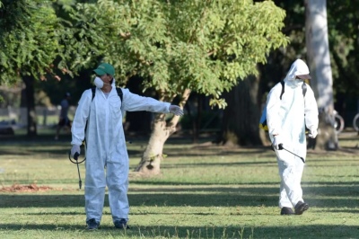 La Municipalidad de La Plata fumigó espacios verdes de "alta concentración" de mosquitos