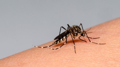 Se registró la primera muerte por dengue en San Juan