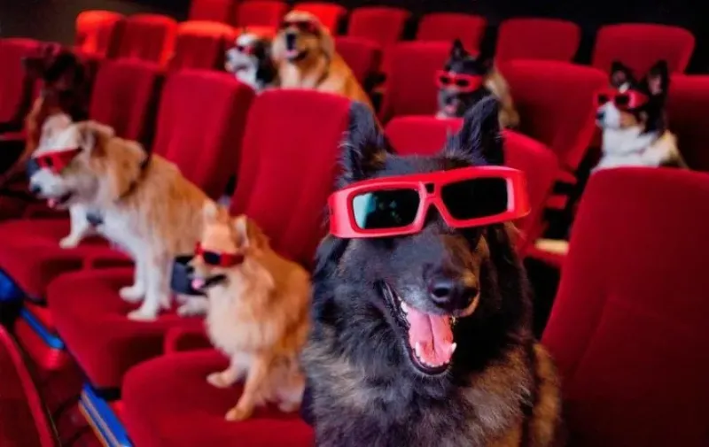 Argentina tendrá su primera función de cine con perros.