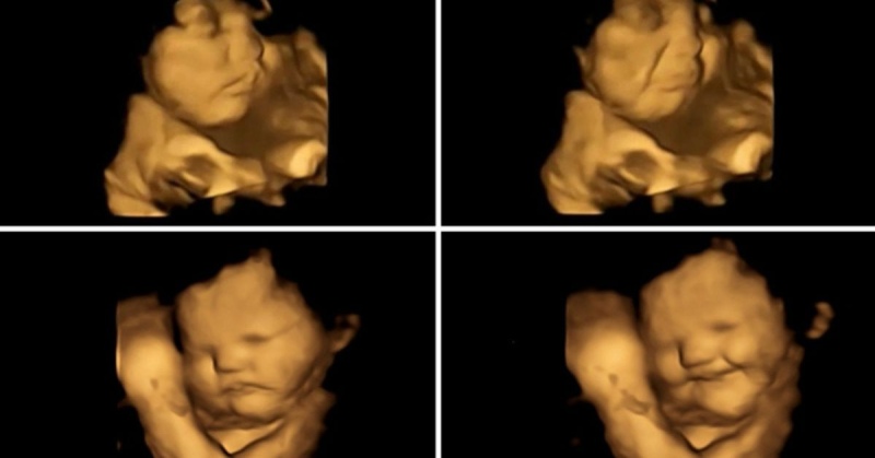Los bebés responden en el útero a lo que comen sus mamás