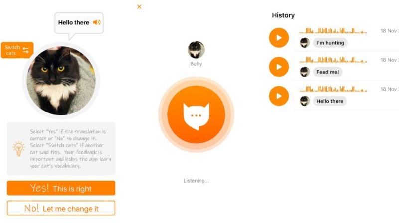Meowtalk, la app que permite entender lo que dicen los gatos