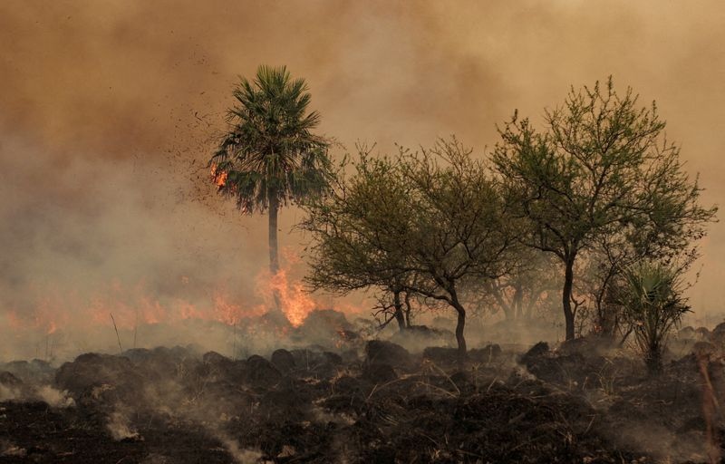 Corrientes: advierten que los incendios podrían seguir 20 días o más
