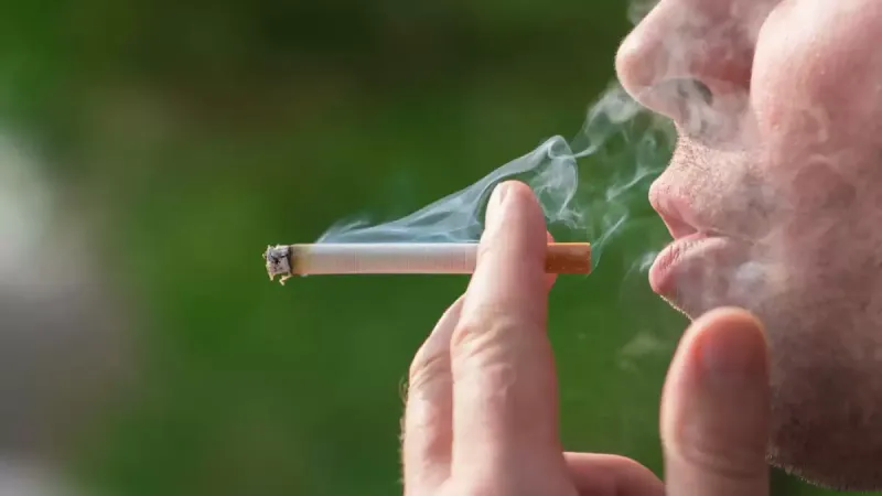 Según la OMS disminuyó el consumo de tabaco a nivel mundial