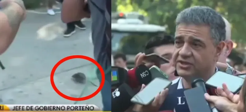 Una rata interrumpió una conferencia de prensa de Jorge Macri: el video