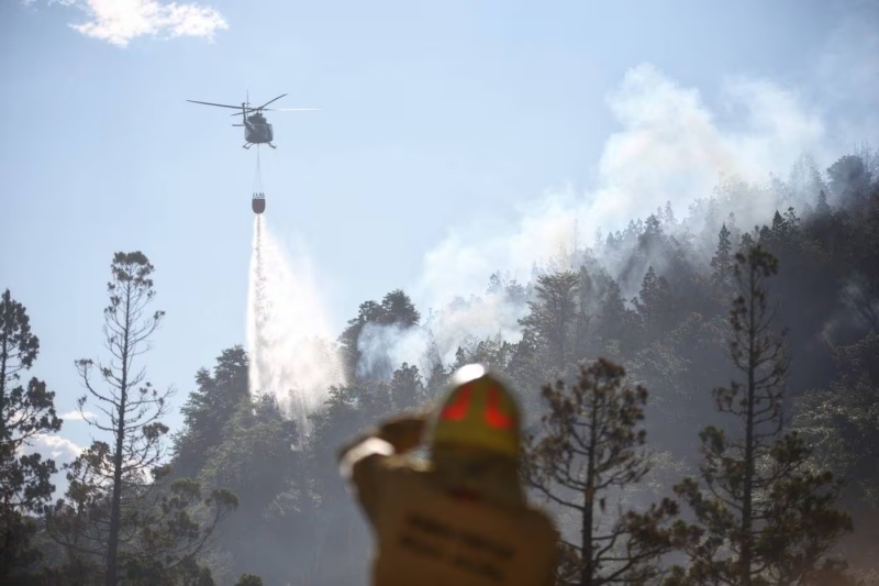 Parque Nacional Los Alerces: Lograron controlar el incendio "en todos los sectores"