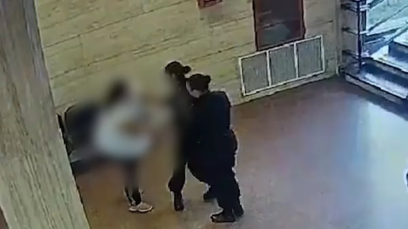 Una mujer intentó sacarle el arma a una policía: el video